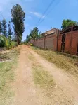100x100 Prime Plot for Sale in Golf View, Thika - 2