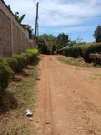 100x100 Prime Plot for Sale in Golf View, Thika - 3