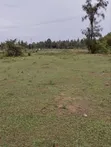 Prime Land for Sale in Kisumu Kisian - 1