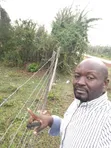 Prime Land for Sale in Kisumu Kisian - 4