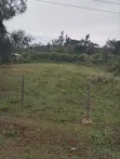 Prime Land for Sale in Kisumu Kisian - 5