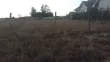 Prime 1/8 Acre Residential Plot in Joska - 3