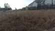 Prime 1/8 Acre Residential Plot in Joska - 5