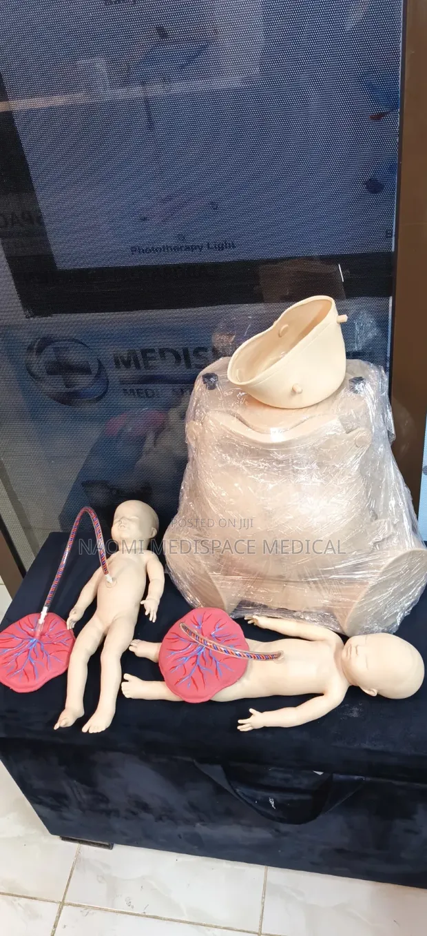 Twin Delivery Training Manikin - 1