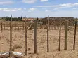 50x100 Plot for Sale in Narok Town - 1