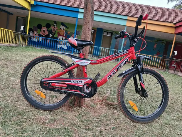 Baiskeli Raleigh Size 20 - 1