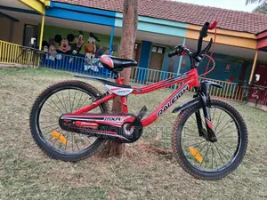 Raleigh Size 20 Bicycle