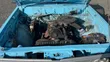 Mitsubishi L200 1981 Bluu - 4