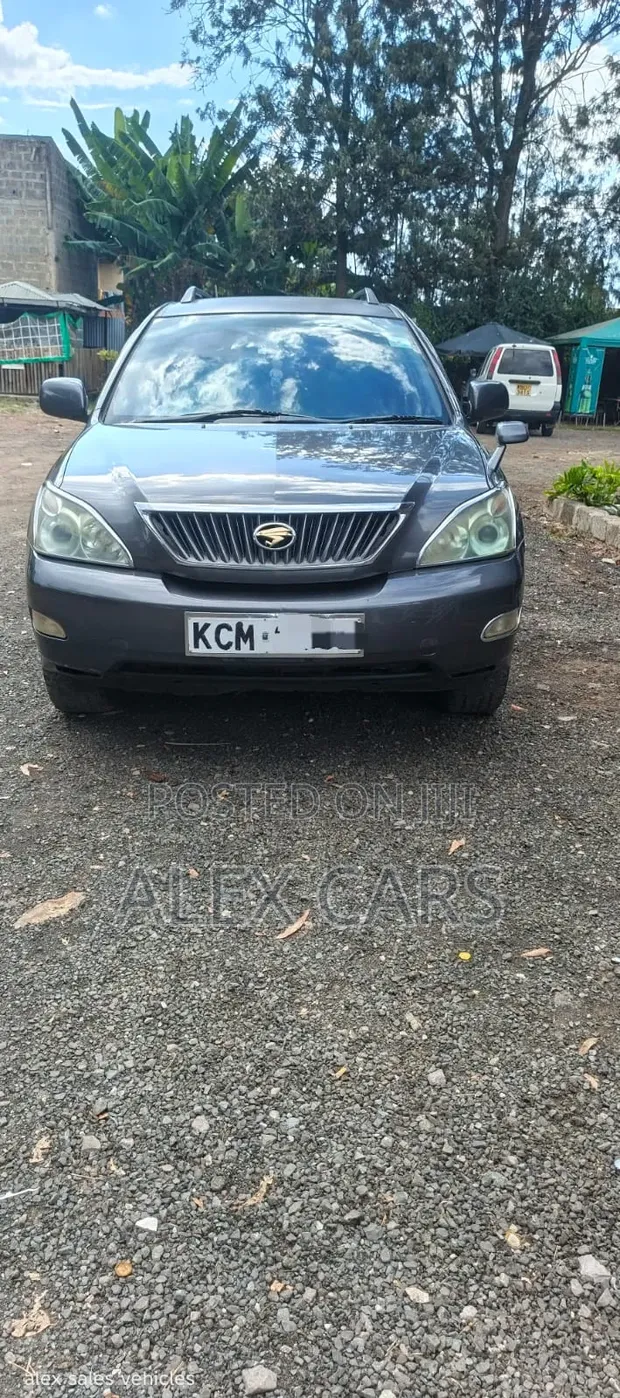 Toyota Harrier 2010 Kijivu - 1
