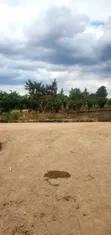 Ardhi ya Makazi Athi-River Kinanie - 2