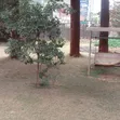 Eneo la Prime la Eka 0.7 kwa Uuzaji - Kileleshwa Barabara ya Mandera - 2