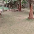 Eneo la Prime la Eka 0.7 kwa Uuzaji - Kileleshwa Barabara ya Mandera - 4