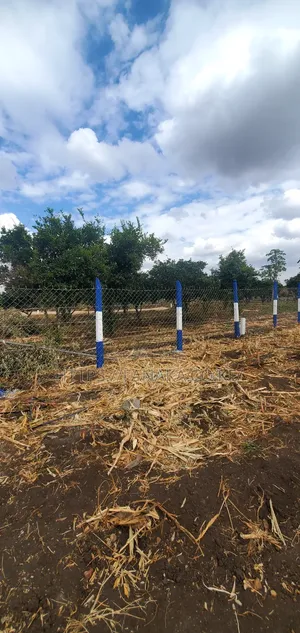 Residential Plots for Sale Near Kinanie Shopping Center