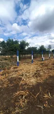 Residential Plots for Sale Near Kinanie Shopping Center - 1