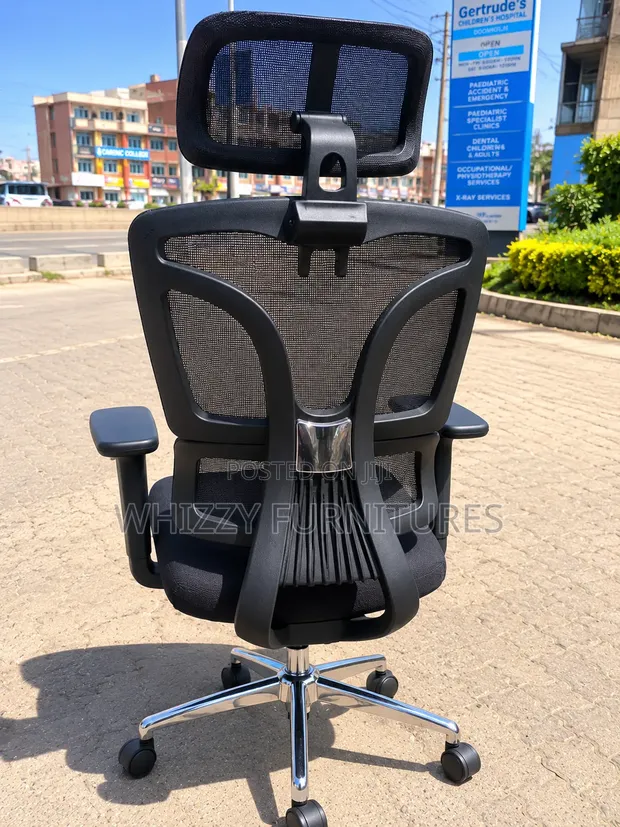 Ergonomic Mesh Office Chair with Lumbar Support - 1