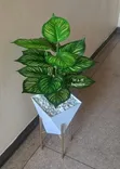 Artificial Palm Plant (90cm) - 2
