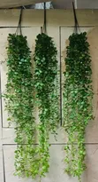 Hanging Vines - Brand New - 1