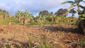 Prime Plot for Sale in Thamanda Kerwa, Limuru