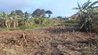 Prime Plot for Sale in Thamanda Kerwa, Limuru - 2