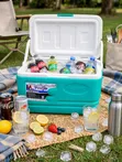 Pacific Cooler Box 32L - Teal Turquoise - 1