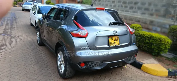 Nissan Juke 2014 Kijivu - 1