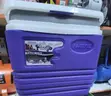 Pacific 10-Litre Cooler Box - 1
