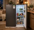 Ecomax 90L Fridge - Silver Nyeusi - Mpya - 2