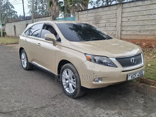 Lexus RX 400h 2009 Brown - 1