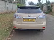 Lexus RX 400h 2009 Brown - 5