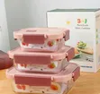 Seti ya Vipande 3 vya Vitu vya Kuhifadhia Chakula vya Kioo - 3