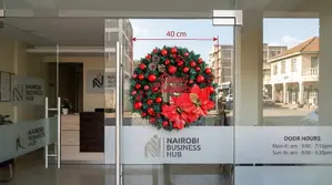 40cm Pre-Lit Holiday Front Door Wreath