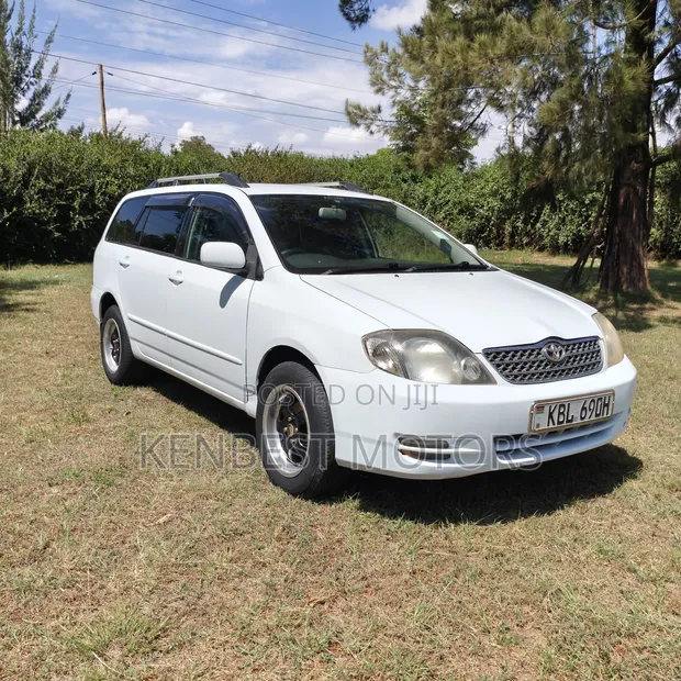 Toyota Corolla Fielder 2005 White - 1