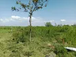 One Acre Beach Plot for Sale in Kisumu - 3
