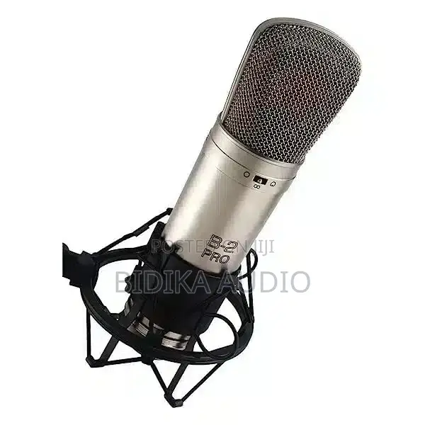 Behringer B2Pro Condenser Microphone - 1