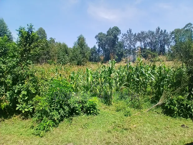 Vipande 2 vya Ardhi Vinauzwa Chemwa - 1