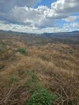 Eneo la Viwanda Thika Garissa Road - 2.5 Eka Karibu na Chuo Kikuu cha Gresta - 3