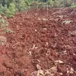 Plots for Sale in Kenol, Maragua Area - 1