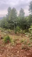 Plots for Sale in Kenol, Maragua Area - 2