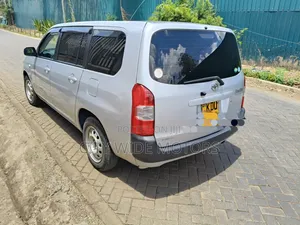 Toyota Probox 1.5 DX 2WD 2019 Silver