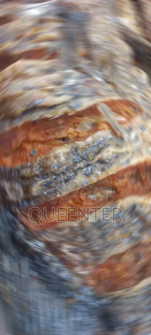 Samaki Safi wa Tilapia wa Kukaanga