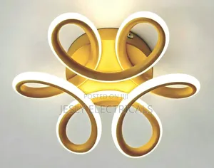 Modern Ceiling Light