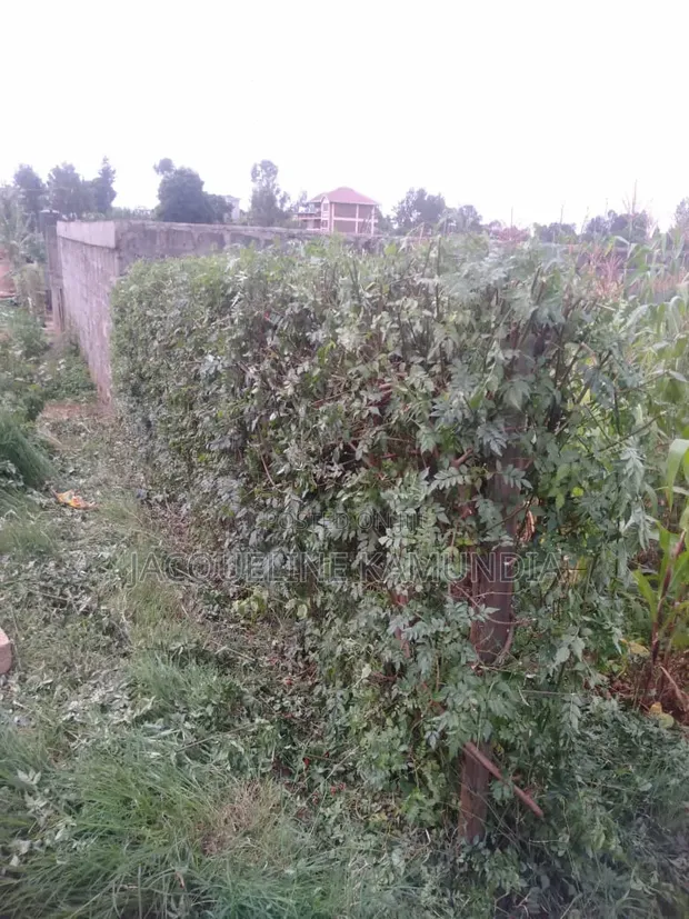 50x100 Plot for Sale in Lower Kabete - 1