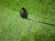 Titleist 917 D3 Driver - 5