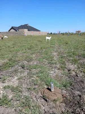 Juja Farm 1/8 Acre Plot for Sale