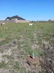 Juja Farm 1/8 Acre Plot for Sale - 1