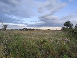 Prime 1 Acre Parcel for Sale in Kirobon, Ngata-Nakuru