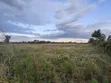 Prime 1 Acre Parcel for Sale in Kirobon, Ngata-Nakuru - 1