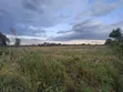 Prime 1 Acre Parcel for Sale in Kirobon, Ngata-Nakuru - 2