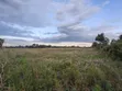 Prime 1 Acre Parcel for Sale in Kirobon, Ngata-Nakuru - 3