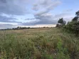 Prime 1 Acre Parcel for Sale in Kirobon, Ngata-Nakuru - 4